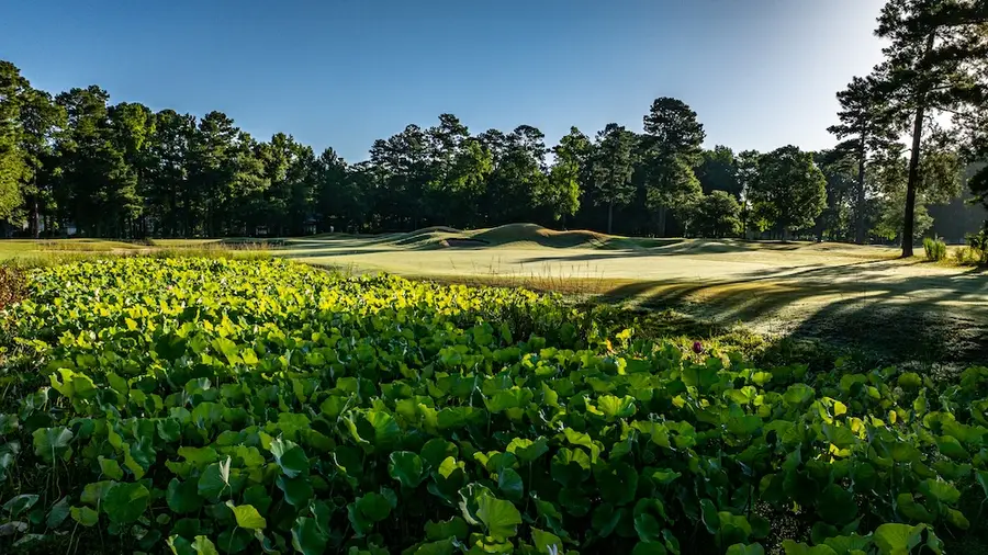 Long Bay Golf Club golf course