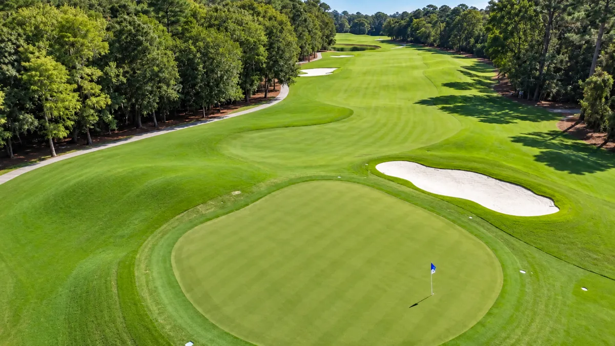 Wild Wing Plantation Avocet Course aerial of a green with a long bunker on a pine lined fairway